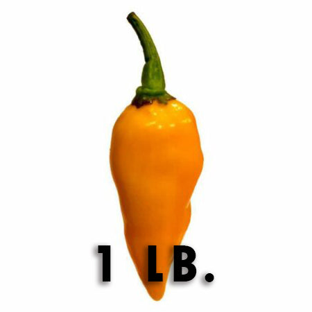 1 lb of Fresh Datil Peppers