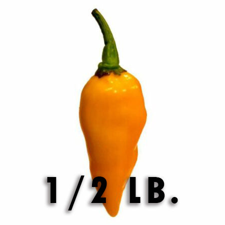 1/2 Pound of Fresh Datil Peppers
